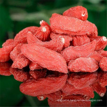 Organic Chinese High quality Dried Black Goji Berry Lycium/ OEM Wholesale Certified Ningxia Black Goji